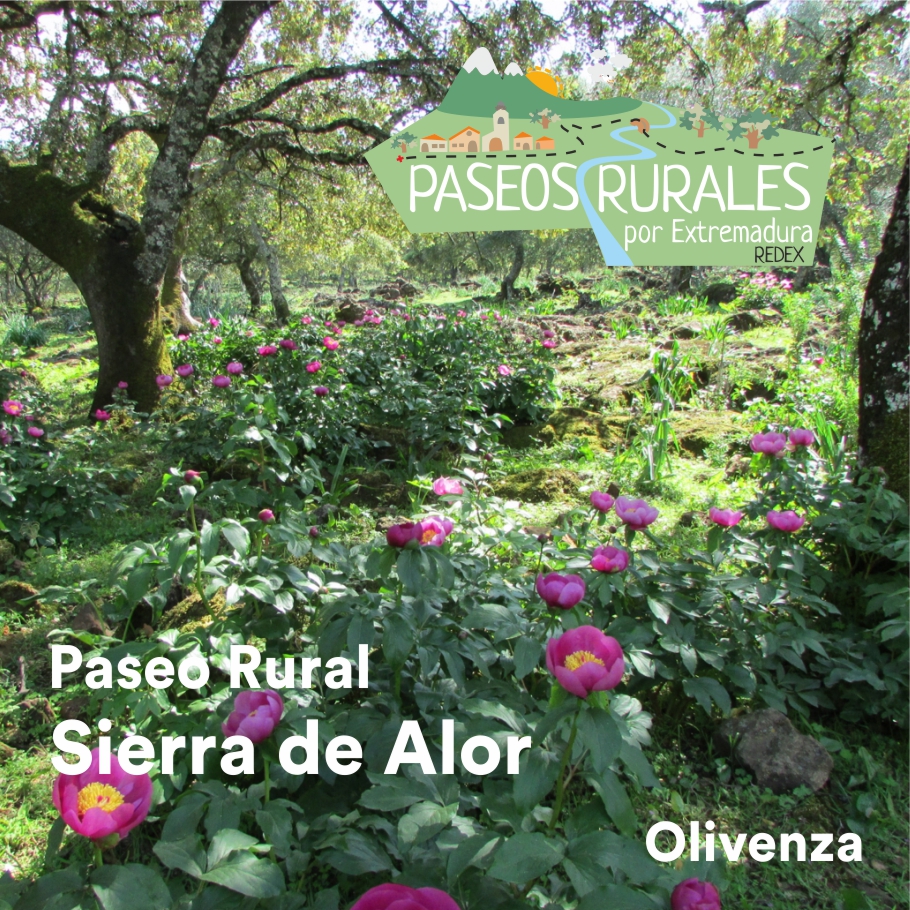 Sierra de Alor – Comarca de Olivenza