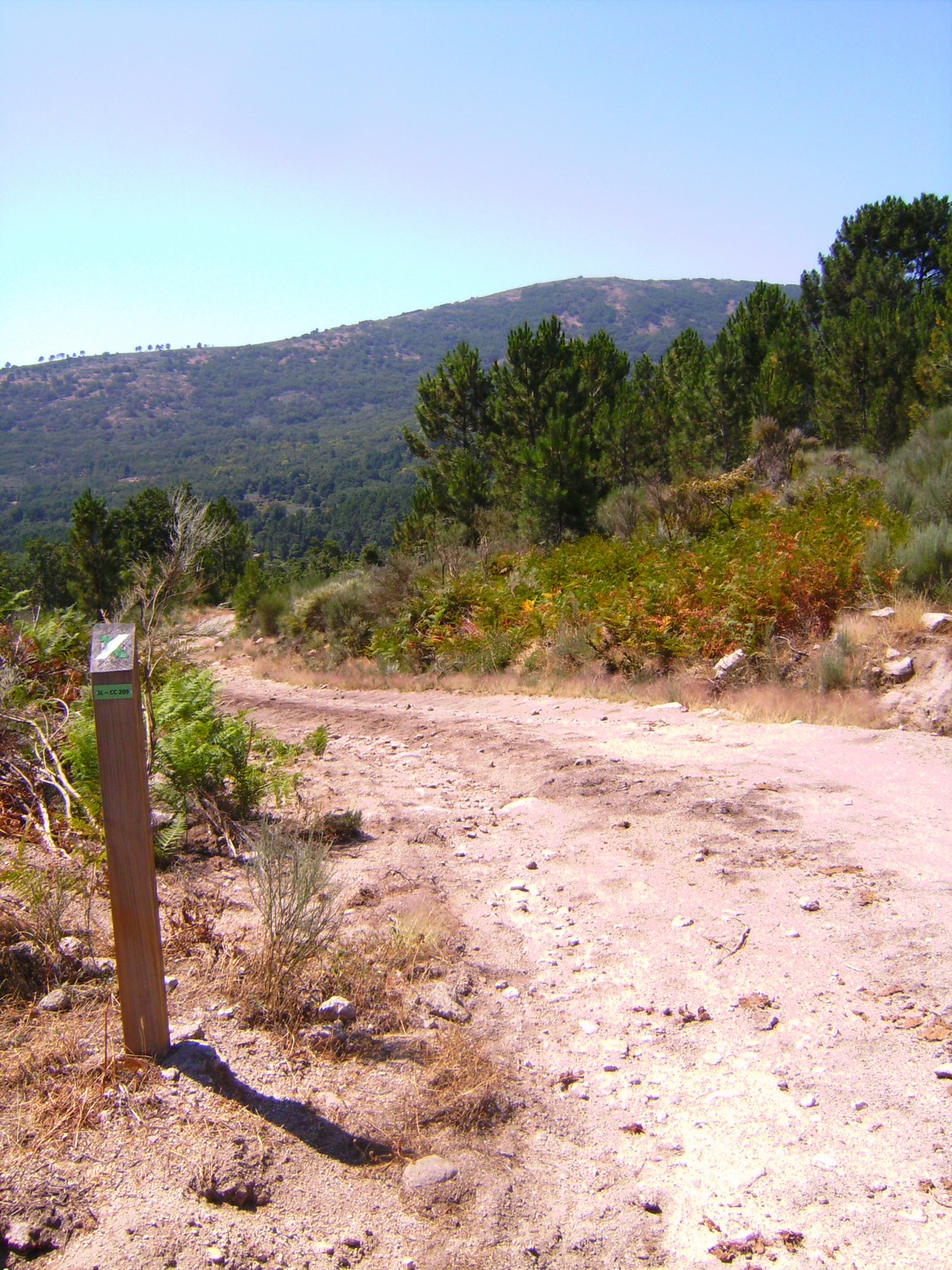 SL-CC 209  Monte de la Osa