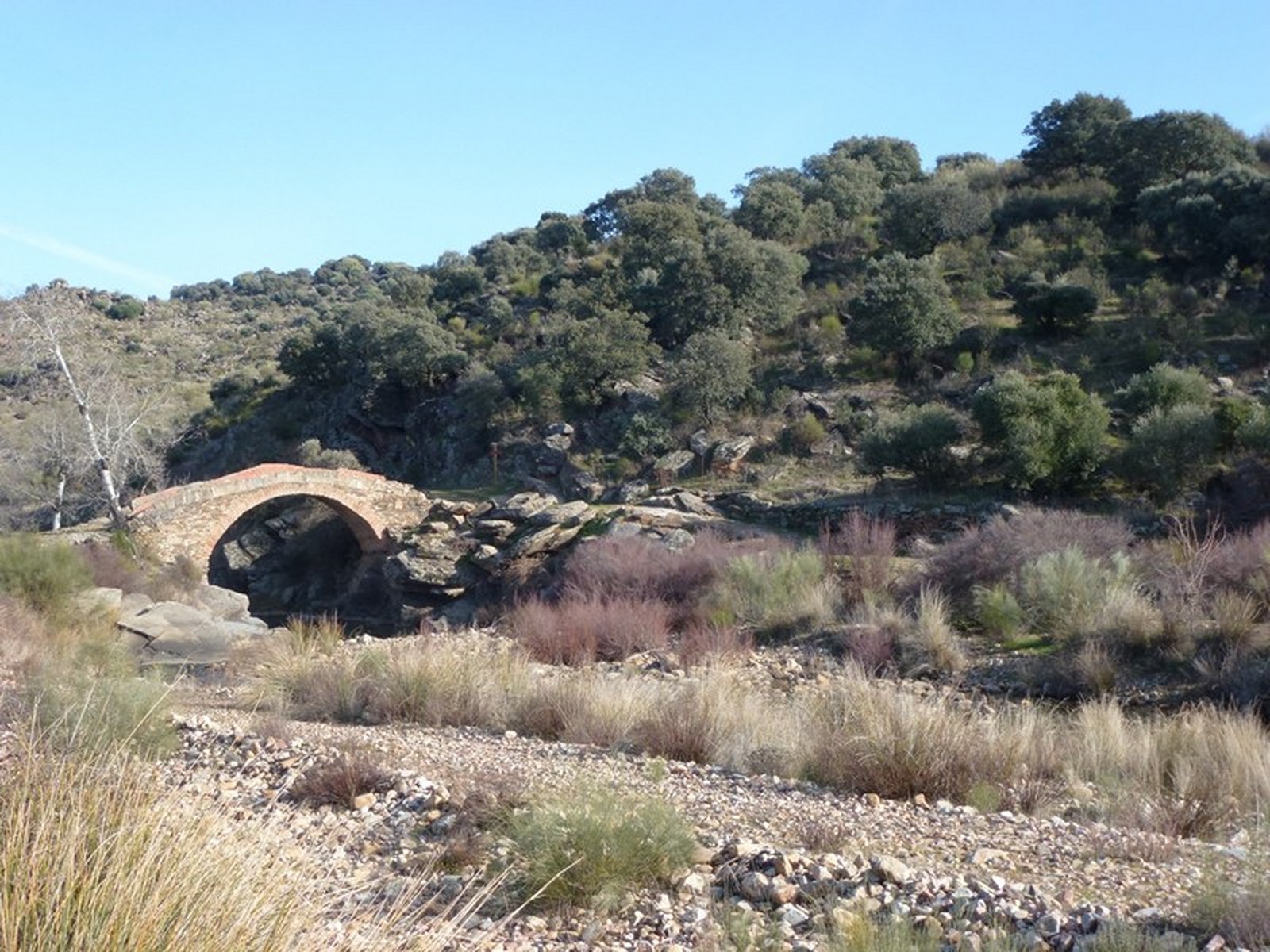 GR 113 Camino Natural del Tajo