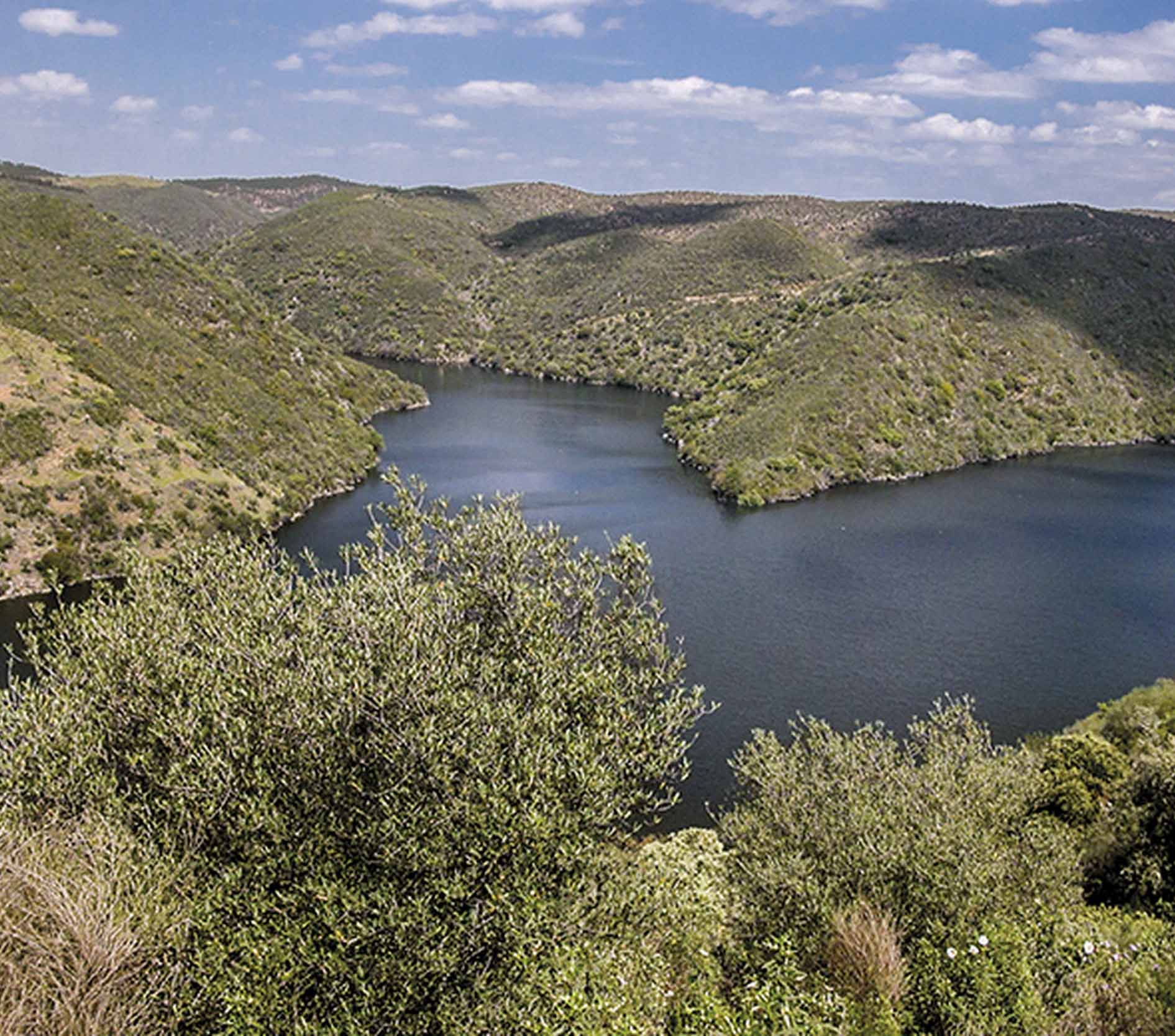 SL-CC 135  El Pesquerón – Río Tajo
