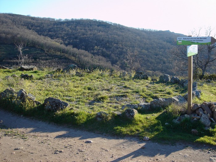 PR-CC 24 La Era de San Bernabé