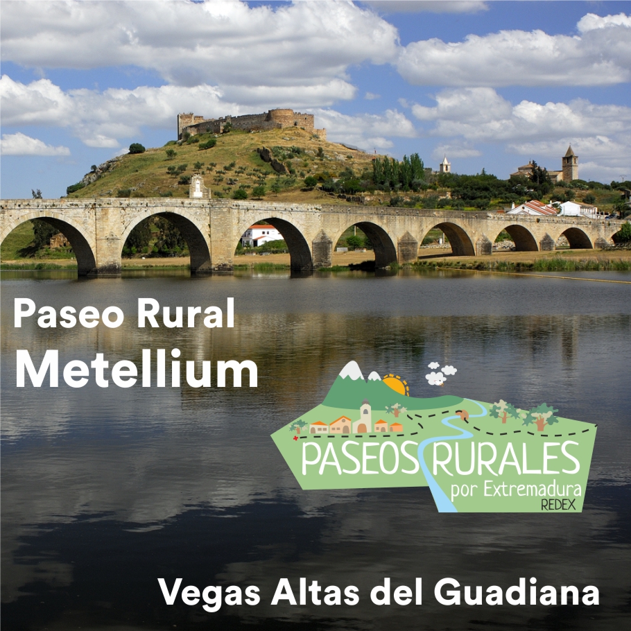 Metellinun – Vegas Altas del Guadiana