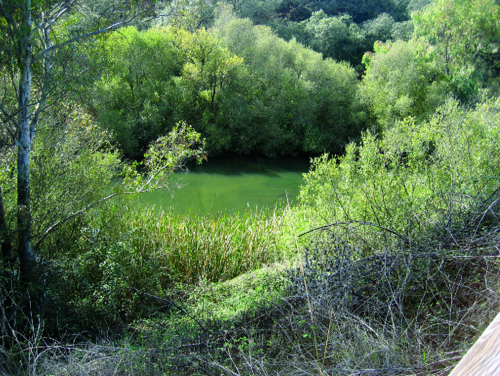 Vía Verde de Las Vegas del Guadiana y las Villuercas