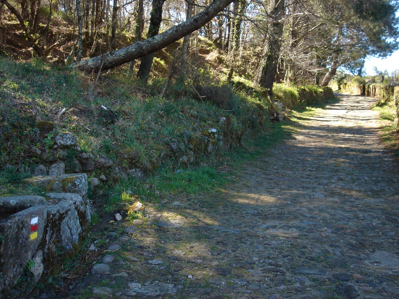 PR-CC 189 Ruta de Las Fuentes