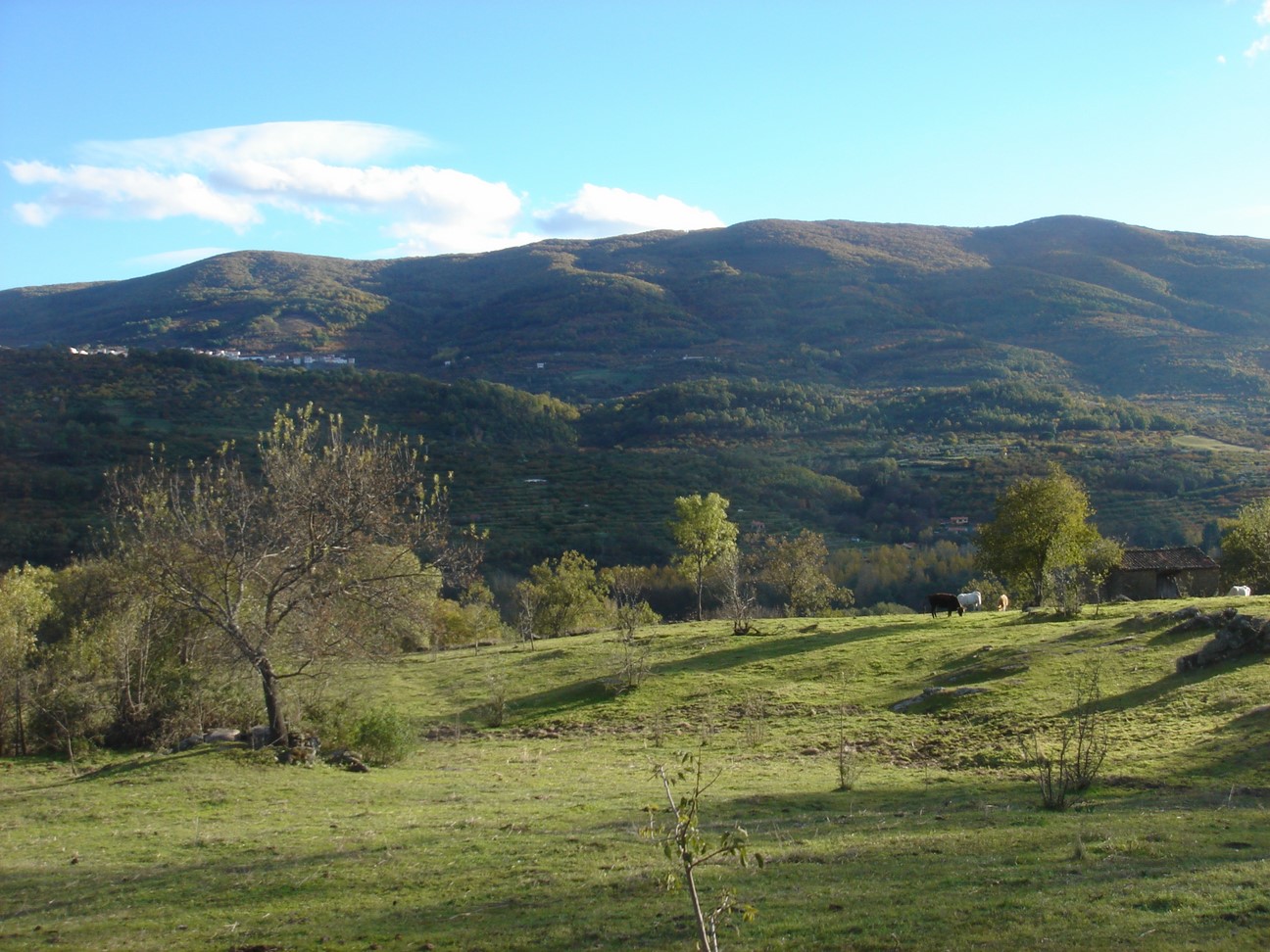 GR-110 Etapa I, Valle del Jerte