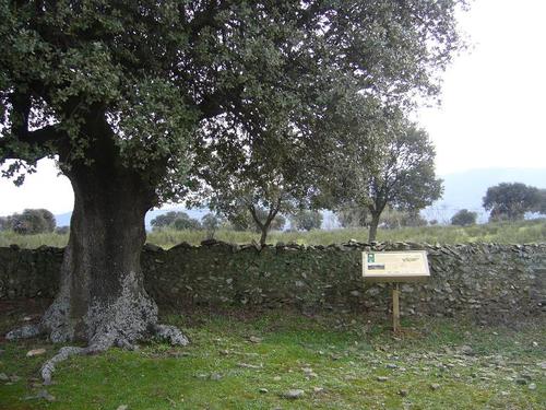 SL-BA 196  Senda de la Cañada de las Urracas