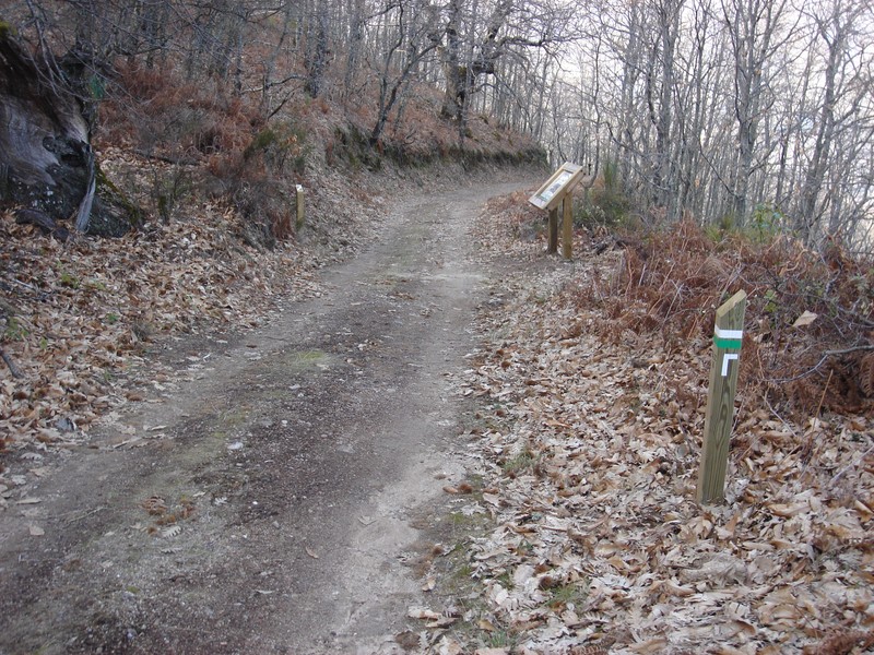 SL-CC 35  Los Castaños